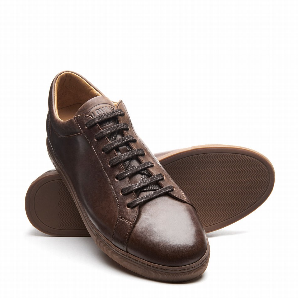 Solovair Gaucho Crazy Horse 070 Donna Sneakers Marroni | S7-070-CH-B-030