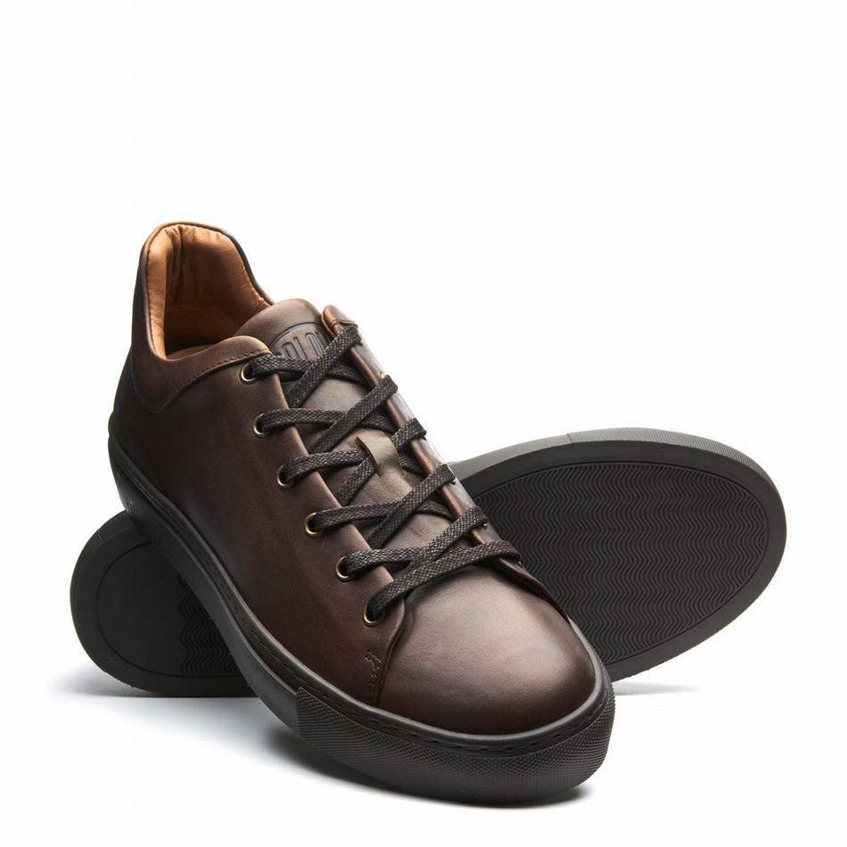 Solovair Gaucho Crazy Horse Uomo Sneakers Marroni | S6-SNE-CH-BNS-030